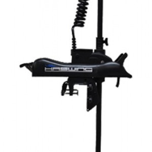 Engine Haswing Cayman Pulsar 24V GPS 80lbs